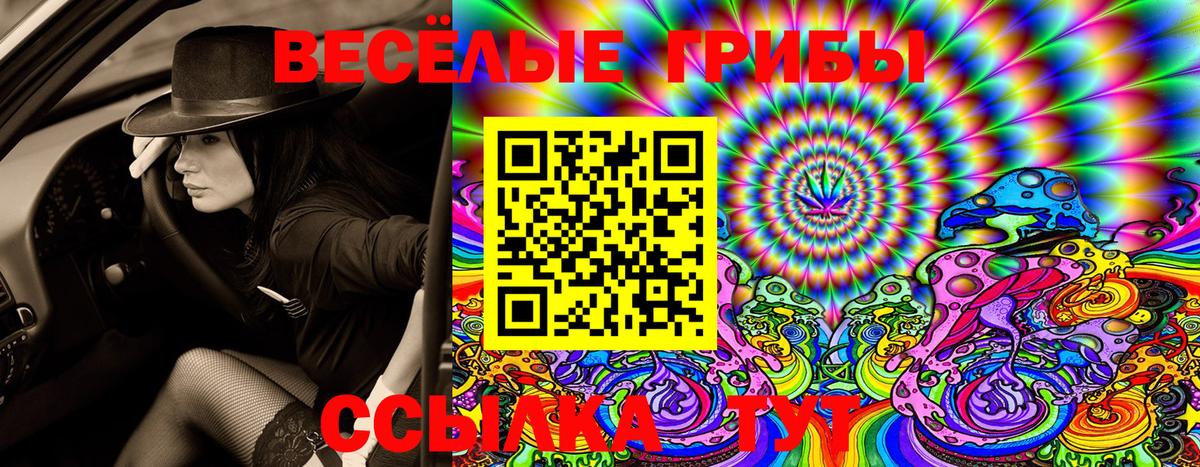 Галлюциногенные грибы Psilocybine cubensis  Вход с VPN  Сокол 